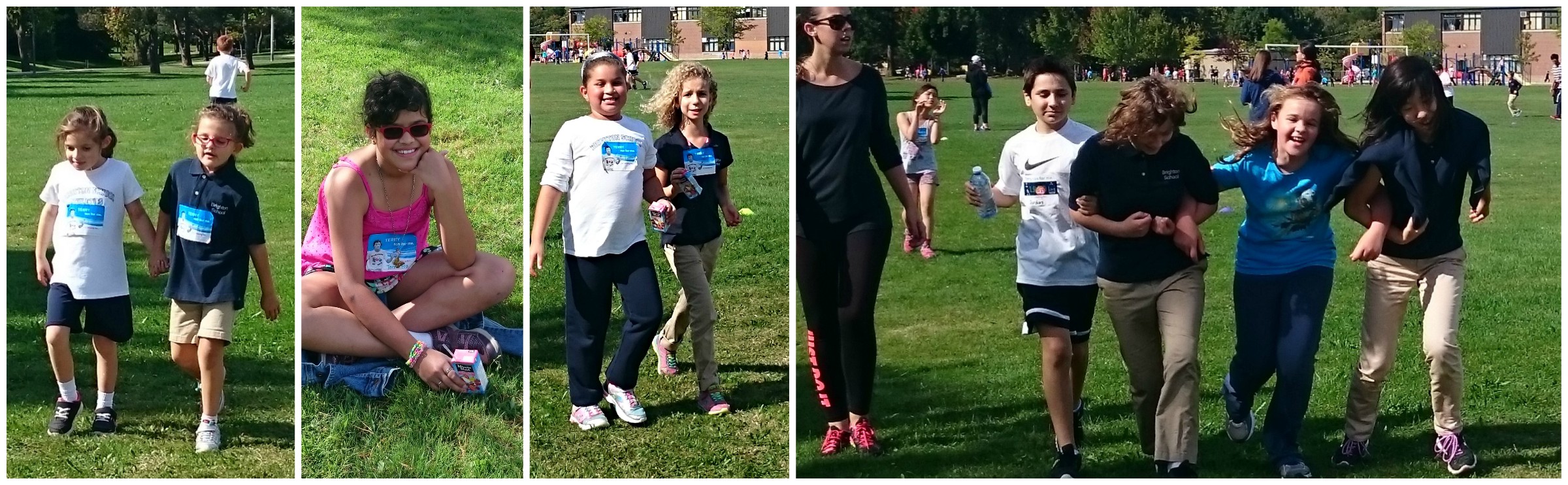 Terry Fox Elementary Collage